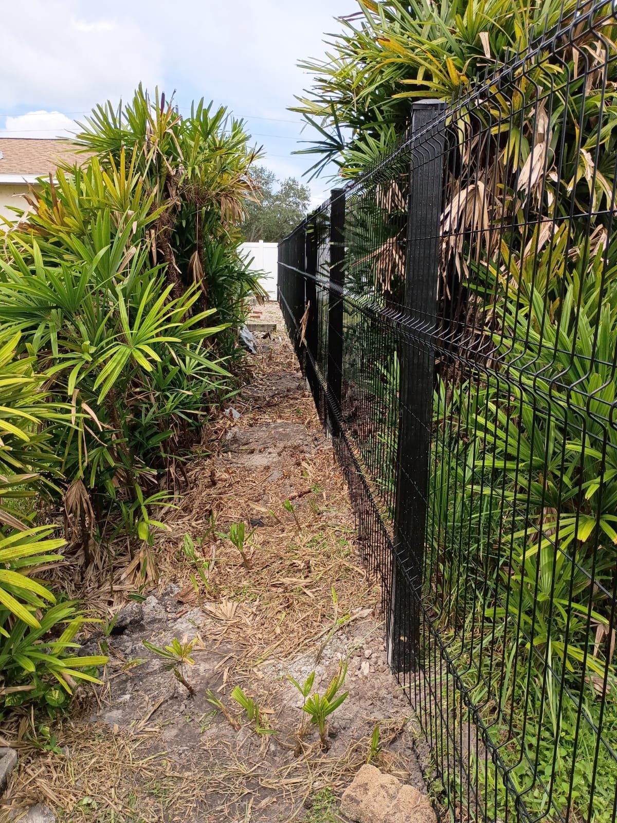 Black metal fence installation along a side yard path by Jose's Home Improvement